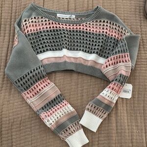 Gray and Pink Cropped Crew Neck Sweater with Stripes